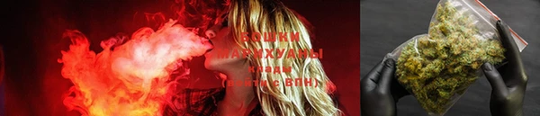 дмт Карпинск